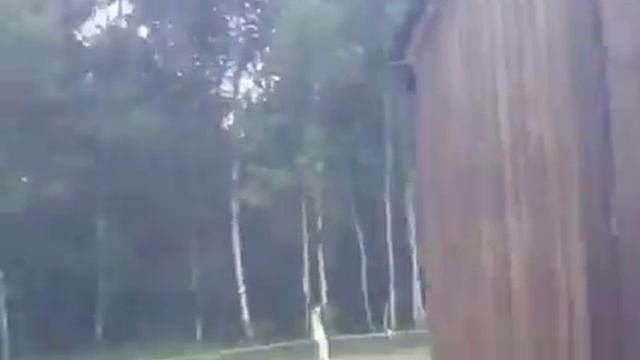 Ушли за грибами! смотреть онлайн