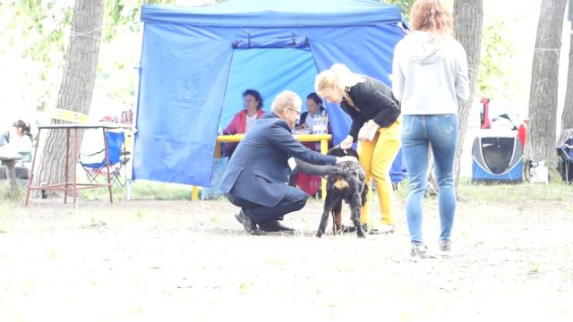 Алба Дель Марина Гранд Орсо смотреть онлайн