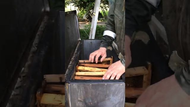 Электровоскотопка «Гуслия» смотреть онлайн