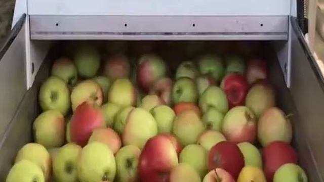 Машина MONO (SORTER) производительностью до 2 тонн в час