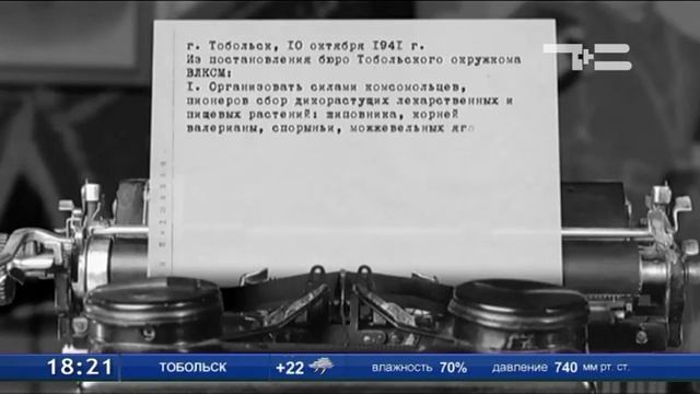 Все для победы. Сбор дикорастущих лекарственных и пищевых растений смотреть онлайн