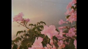 dua lipa - love again (slowed + reverb)
