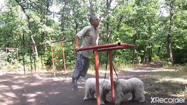 Мои упражнения для поддержки физформы кинолога. смотреть онлайн