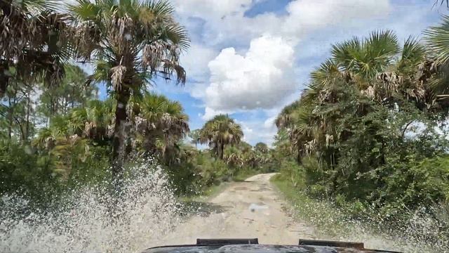 Big Cypress Reserve Ride Around смотреть онлайн