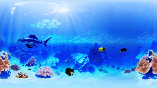 Maxwell The Cat 360° VR | AT THE BOTTOM OF THE OCEAN IN 4K смотреть онлайн