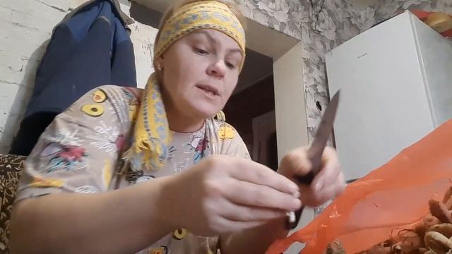 МОРЕ ГРИБОВ //ВЕСЬ ДЕНЬ В ГРИБАХ