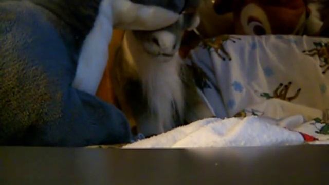 Tranquility ATN Diapers смотреть онлайн