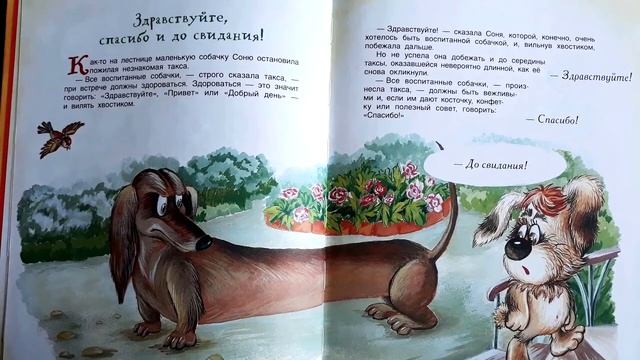 Умная собачка Соня: Здравствуйте, спасибо и до свидания! смотреть онлайн