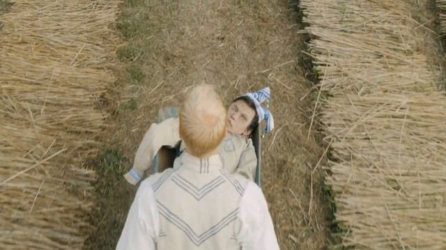 Male Disguise Mask (Midsommar) смотреть онлайн