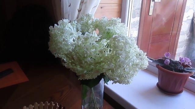 Влог: шкаф в детскую, закрывашки на зиму :-)