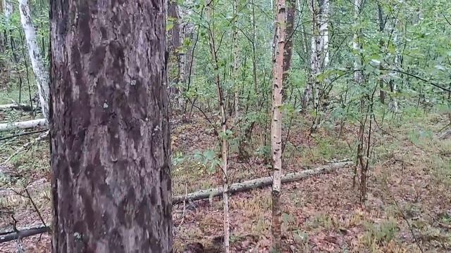 Хозяйка медной горы не дала смотреть онлайн