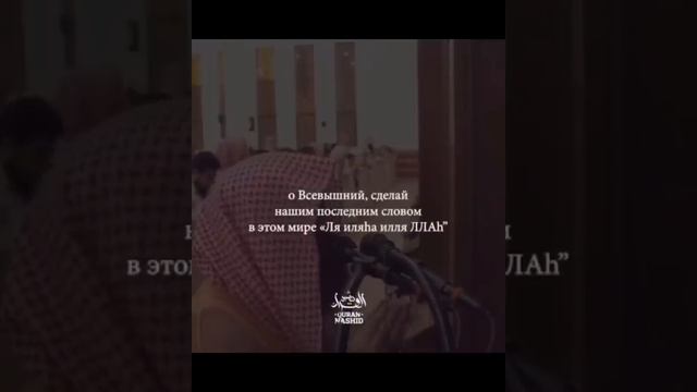 Мухаммад аль Люхайдан(лучшая подборка) слушать одно удовольствие ? смотреть онлайн