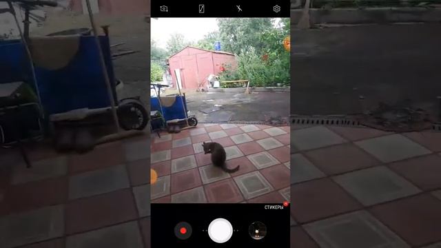 ГРОЗА И ГРАД⛈ СУПЕРЛИВЕНЬ⛈ смотреть онлайн
