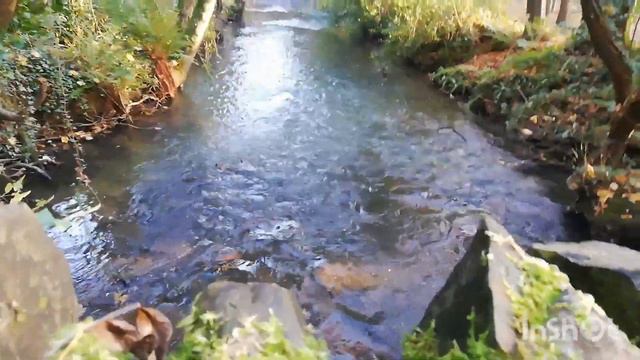 Из Украины в Ирландию!Наш третий день/ Olenka loa 💖 смотреть онлайн