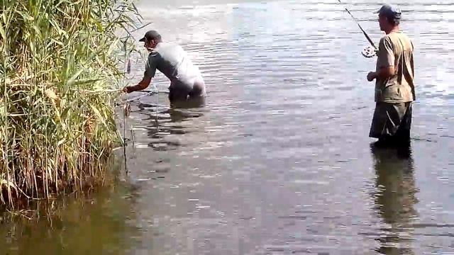 Рыбалка. Самара. Новоселовка смотреть онлайн