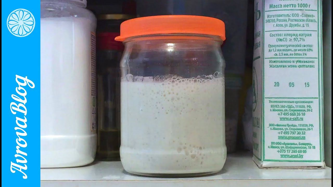 Пшеничная закваска. Выведение закваски на пшеничной муке в/сорта, либо цельнозерновой, либо 1 сорта