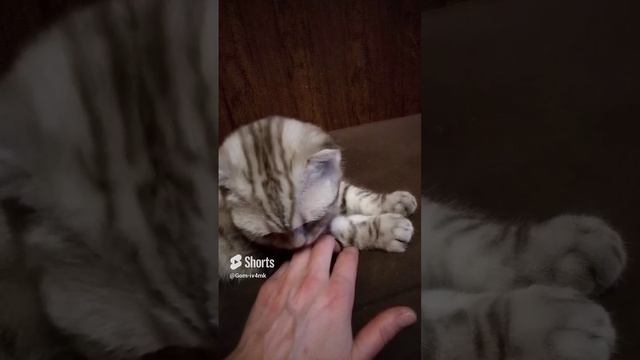 24 марта 2024 г. (1).mp4