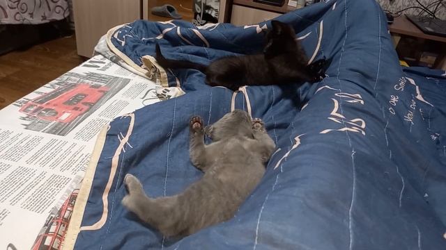 Ну, давай ещё подерёмся?!❤️?? смотреть онлайн