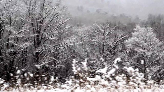 Фридман 2017 смотреть онлайн