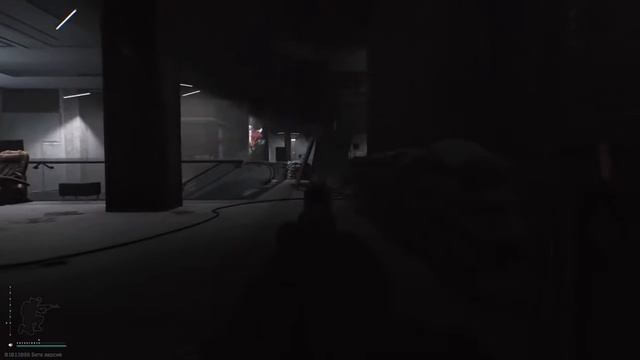 Мэддисон в Escape From Tarkov смотреть онлайн