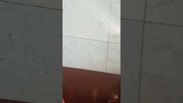 Абалак. Монастырь. Проповедь для тебя часть 2 смотреть онлайн