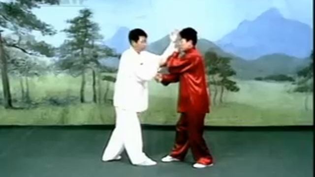 Тунбэй.Ци Ши.Применение.#1