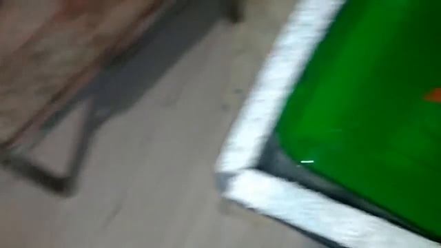 Эублефары наконец-то снесли яйца! Инкубатор для эублефаров