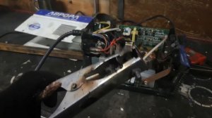 конец авроре вектор 1600