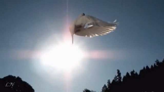 П.Масканьи Интермеццо - Annunciation Mascagni -Благовещение смотреть онлайн