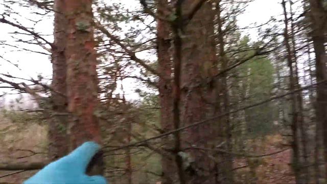 Зов дятла , случаен ли он? часть -1. смотреть онлайн