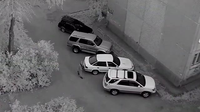 Камеры Сергек зафиксировали действия автовора. ВКО. смотреть онлайн