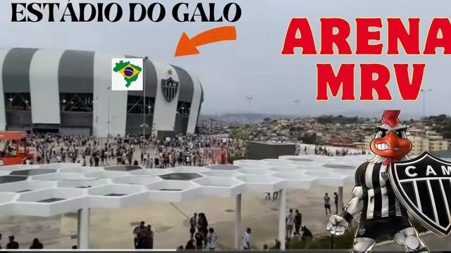 Musica - O Galo é Campeão ! смотреть онлайн