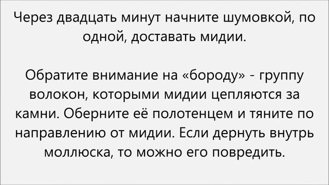 Как чистить мидии смотреть онлайн