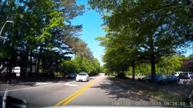 Гусыня с гусятами переходят дорогу