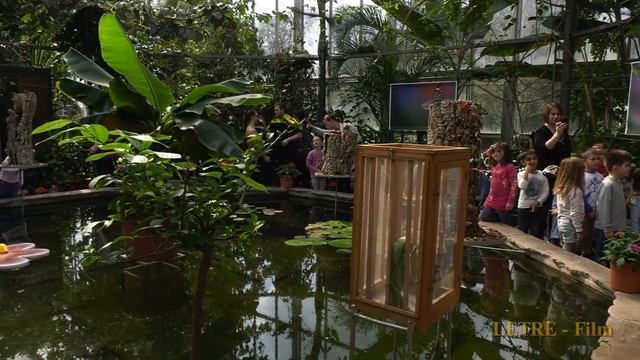 Test Video von Panasonic HC X1 Zoo Augsburg und botanischer Garten смотреть онлайн