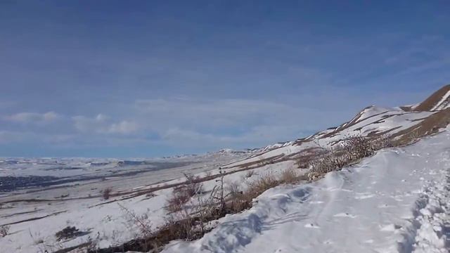 Боргустан 1.1 смотреть онлайн