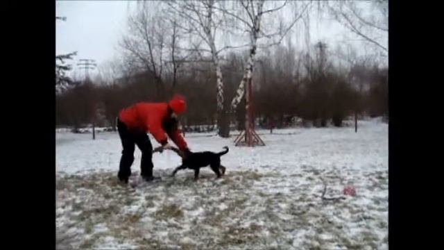IZZY 1 wmv1 смотреть онлайн