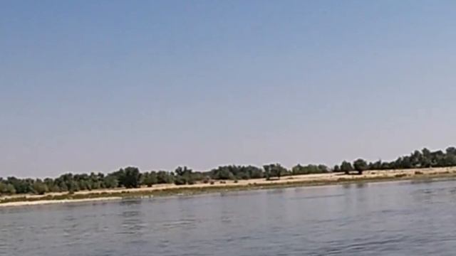 День 11: Кабаны l Сборы l Раки смотреть онлайн