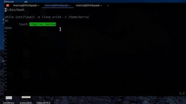 Come faccio i miei backup su Linux смотреть онлайн