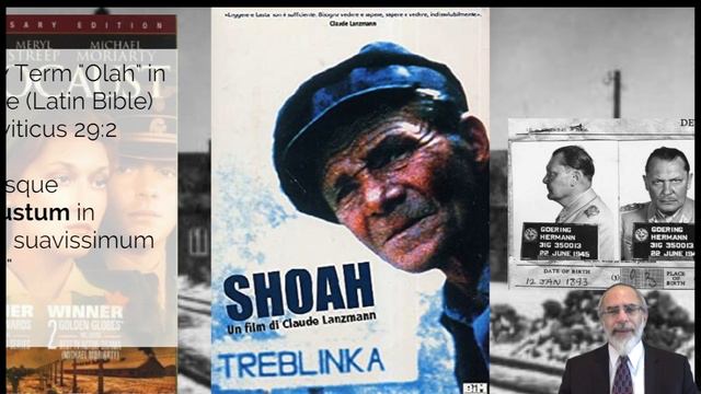 1. Defining the Destruction (Brief lectures on the Holocaust) смотреть онлайн