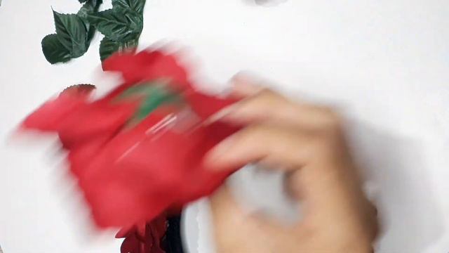 Tiara Mexicana | Frida Kahlo