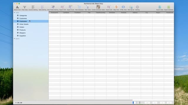 View and edit MS Access database on Mac OS X Sierra смотреть онлайн
