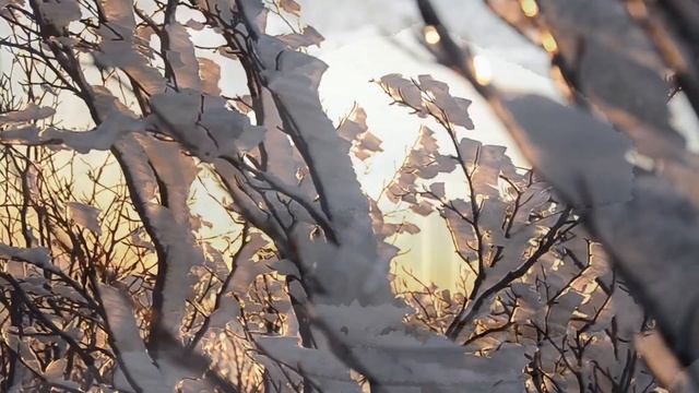 Благодарность матушке Земле смотреть онлайн