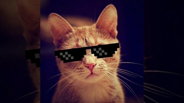 топ обои на телефон 😎