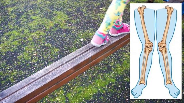 Исправляем ВАЛЬГУС и ПЛОСКОСТОПИЕ на прогулке | Топ 5 летних способов