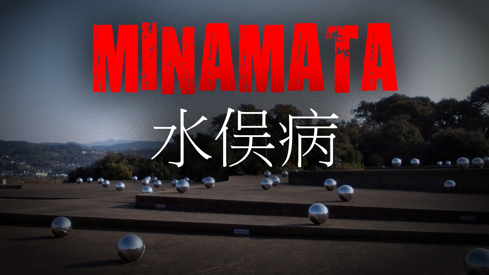 MINAMATA (видео от окт. 2019г.)