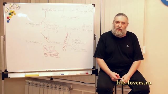 Мечта побить посуду, много посуды! смотреть онлайн