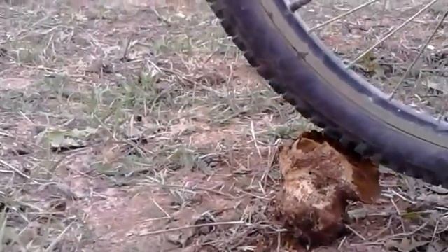 Гриб дымовик смотреть онлайн