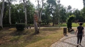 ГРУЗИЯ, ШЕКВЕТИЛИ - ПАРК КОМПОЗИТОРОВ и ПАРК «МАЛЕНЬКАЯ ГРУЗИЯ» (Макеты строений) / Аджария/ 5 сери