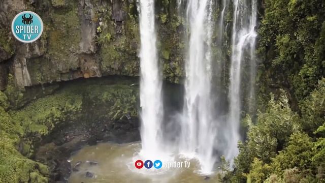 Cook Islands The Ultimate Travel Guide | Best Places to Visit | Spider Tv | کک جزائر کی سیر смотреть онлайн